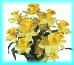 cwf_prices_easter001009.jpg
