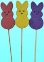 cwf_prices_easter001016.jpg
