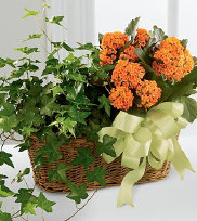 cwf_prices_easter002004.jpg