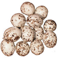 cwf_prices_easter008004.jpg