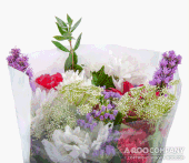 cwf_prices_easter018005.gif