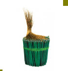 cwf_home_and_fresh002003.jpg