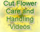 cwf_home_and_fresh002004.jpg