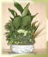 cwf_home_and_fresh002010.jpg