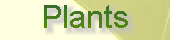 cwf_home_and_fresh002011.jpg