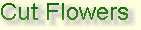 cwf_home_and_fresh002013.jpg