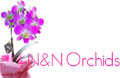 n_and_n_orchids_logo-n.jpg