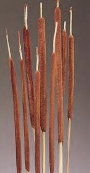 cwf_supplies_d-f003002.jpg