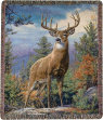 cwf_supplies_d-f017006.jpg