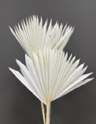 cwf_supplies_d-f049001.jpg