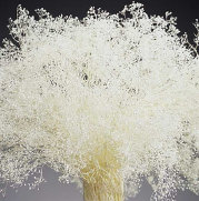 cwf_supplies_d-f049005.jpg