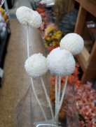cwf_supplies_d-f049006.jpg