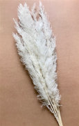 cwf_supplies_d-f049007.jpg