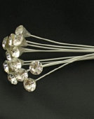 cwf_supplies_r-w015005.jpg